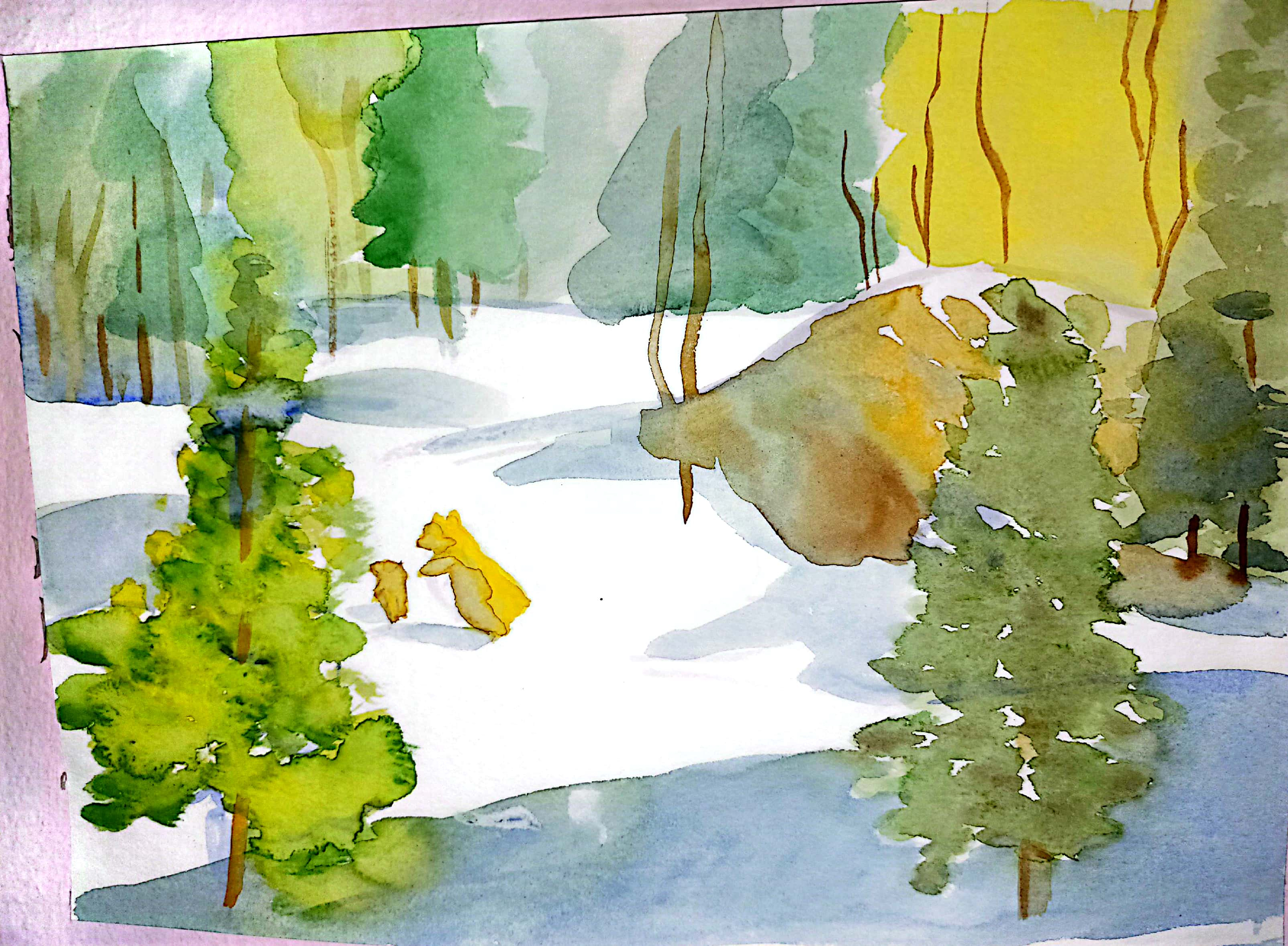 drawings